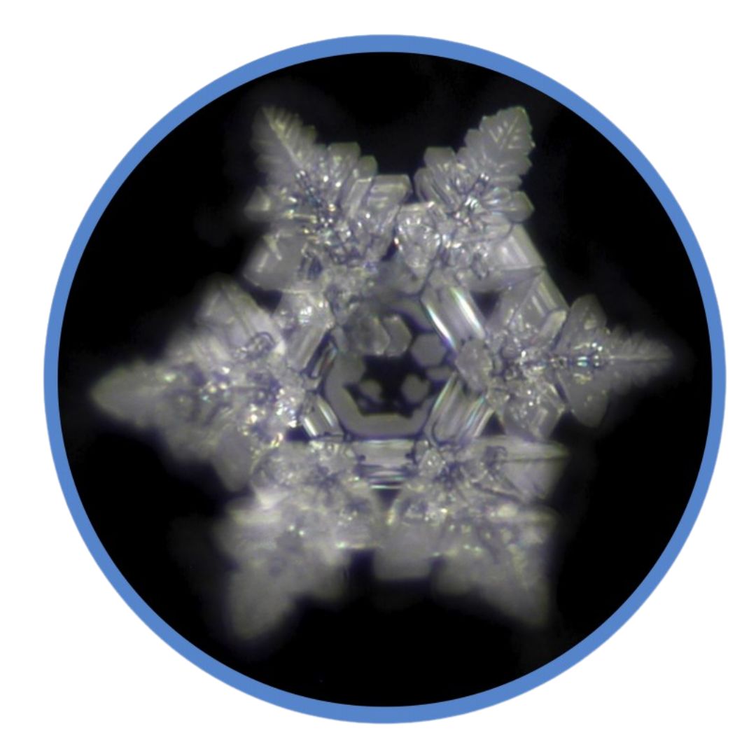 Observation de l'effet de la gourde sur l'eau selon le protocole technique de Masaru Emoto
